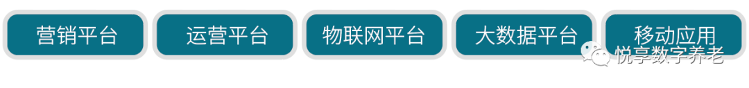 悅享數(shù)字 | 數(shù)字驅(qū)動健康 智慧賦能養(yǎng)老(圖3)